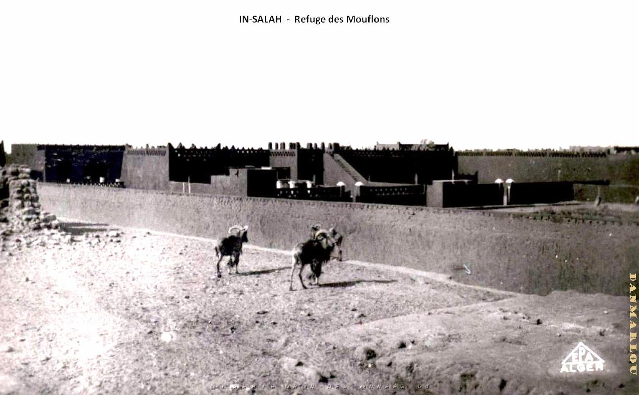 Ain-Salah - Refuge des Mouflons.jpg